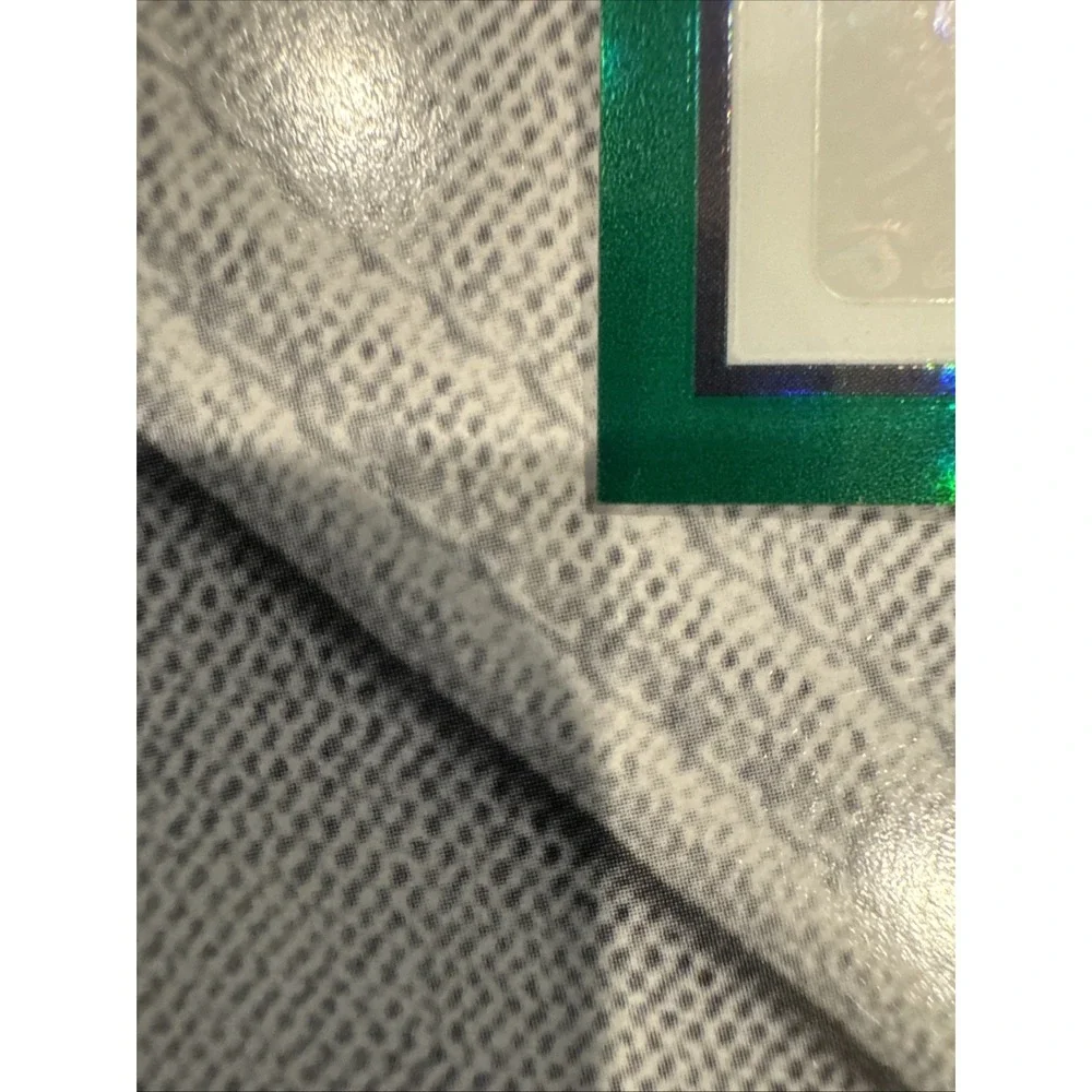 Panini 2026 usa